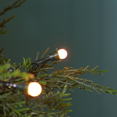 Indoor & Outdoor Battery Multifunction Berry Lights