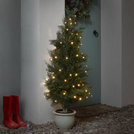 50 LED Outdoor Battery Fairy Lights Green Cable 4.9m