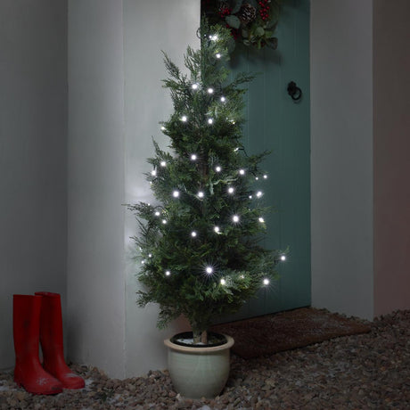 50 LED Outdoor Battery Fairy Lights Green Cable 4.9m
