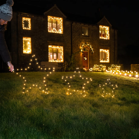 3 x Outdoor Battery Christmas Star Stake Lights Dual Colour LEDs Warm White & White