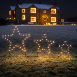 3 x Outdoor Battery Christmas Star Stake Lights Dual Colour LEDs Warm White & White