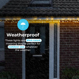 ConnectGo® Connectable Berry Outdoor Cluster Light