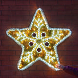 1m Tinsel Star Outdoor Christmas Silhouette Light