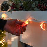 10 Real Shell Warm White LED Battery Fairy Lights
