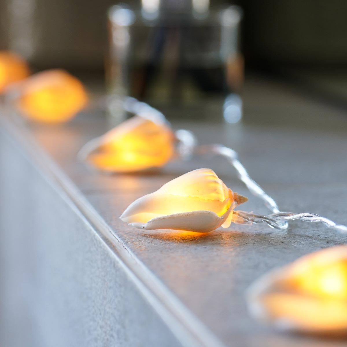 10 Real Shell Warm White LED Battery Fairy Lights