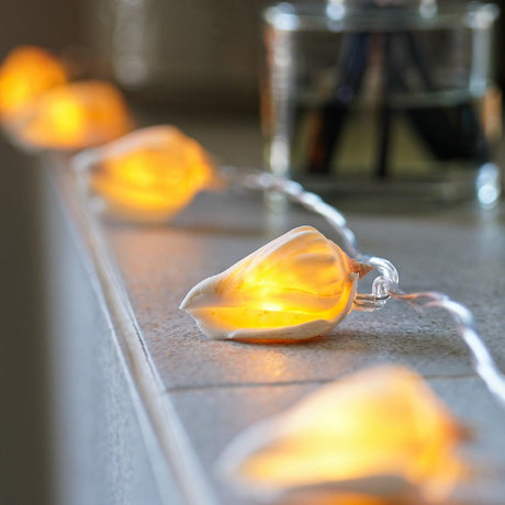10 Real Shell Warm White LED Battery Fairy Lights