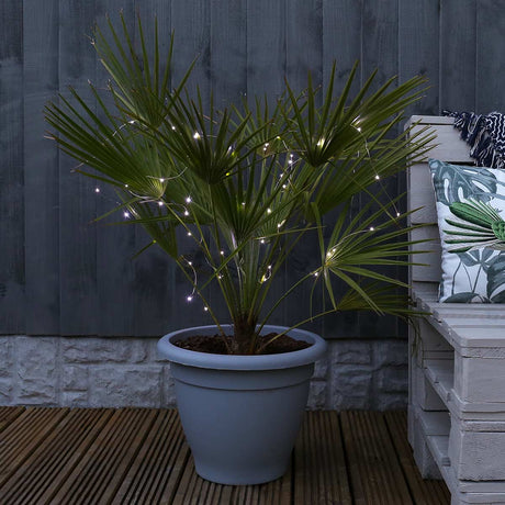 50 LED Battery Micro Outdoor Wire Lights 5m