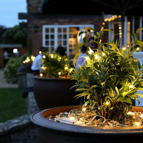 50 LED Battery Micro Outdoor Wire Lights 5m