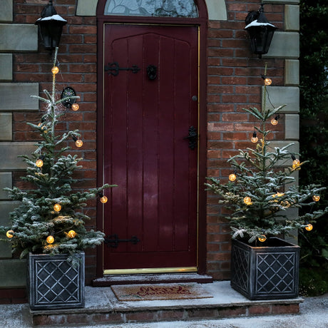 10 Warm White Outdoor Battery Festoon Lights Clear Bulbs