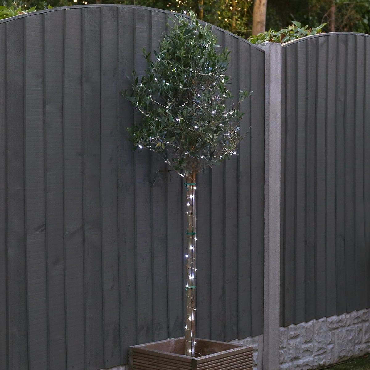 10m Outdoor Battery Micro Fairy Lights
