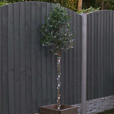 10m Outdoor Battery Micro Fairy Lights