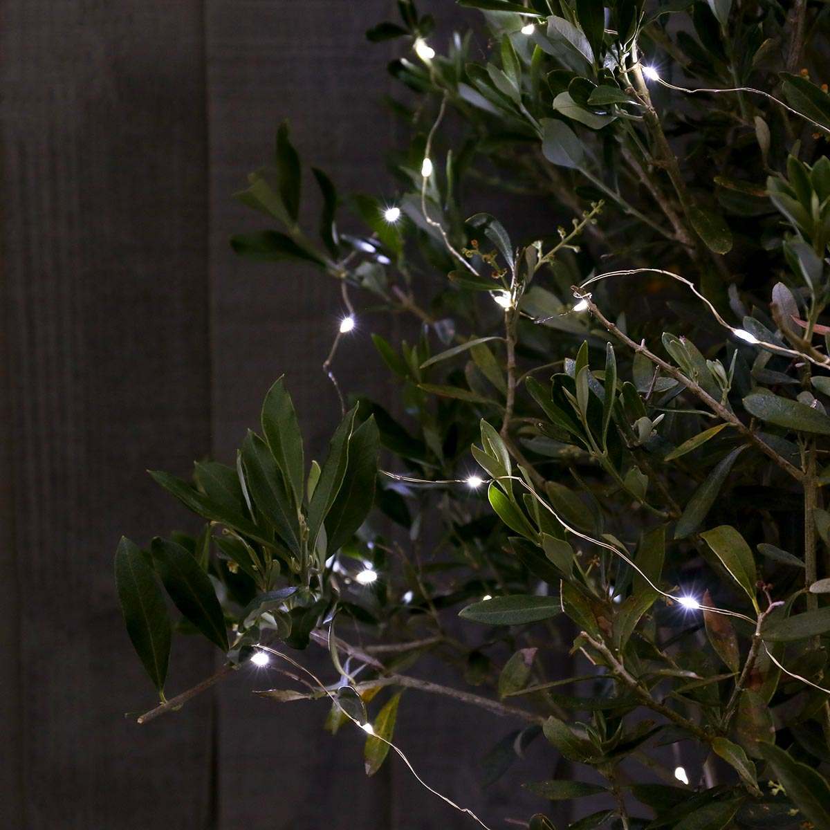 10m Outdoor Battery Micro Fairy Lights