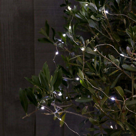 10m Outdoor Battery Micro Fairy Lights