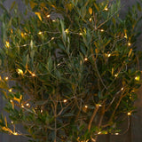 10m Outdoor Battery Micro Fairy Lights