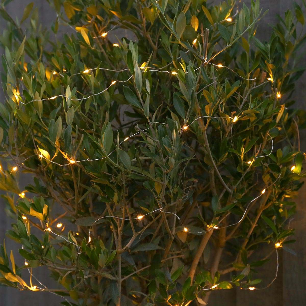 10m Outdoor Battery Micro Fairy Lights