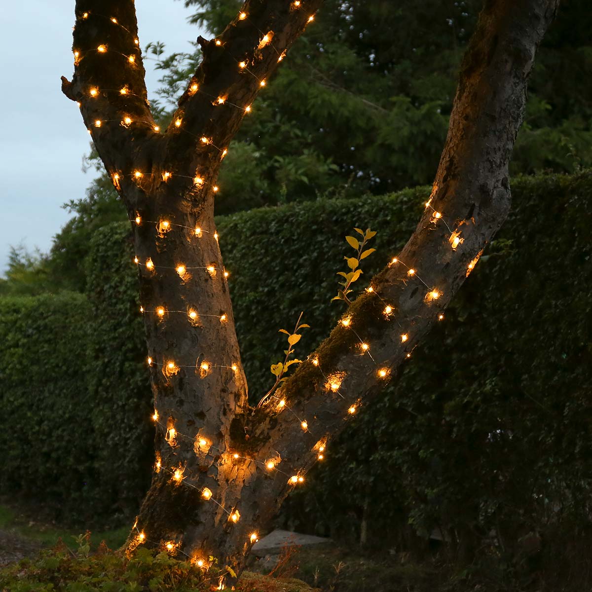ConnectGo® Outdoor Micro Lights Connectable Warm White