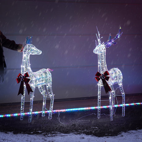 Iridescent Stag & Doe Outdoor Light up Reindeer