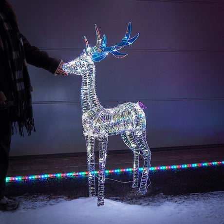 Iridescent Stag & Doe Outdoor Light up Reindeer