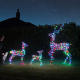 Doe & Fawn Connectable Outdoor Light up Reindeer with Remote Control - Adjustable Colours
