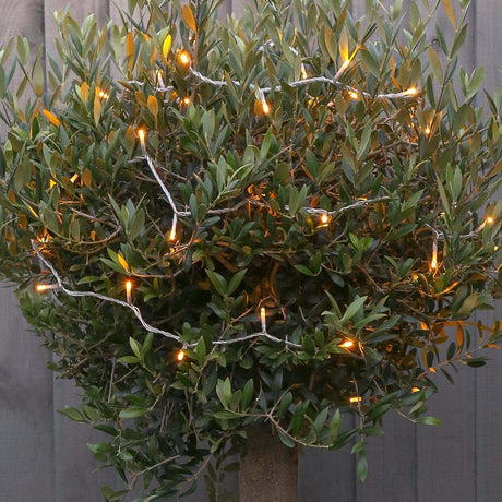 ConnectGo® Outdoor Fairy Lights, Connectable, Clear Cable