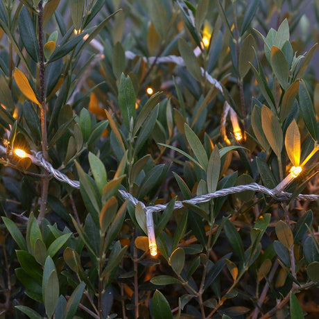 ConnectGo® Outdoor Fairy Lights, Connectable, Clear Cable