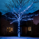 ConnectGo® Outdoor LED Fairy Lights, Connectable, Dark Green Cable