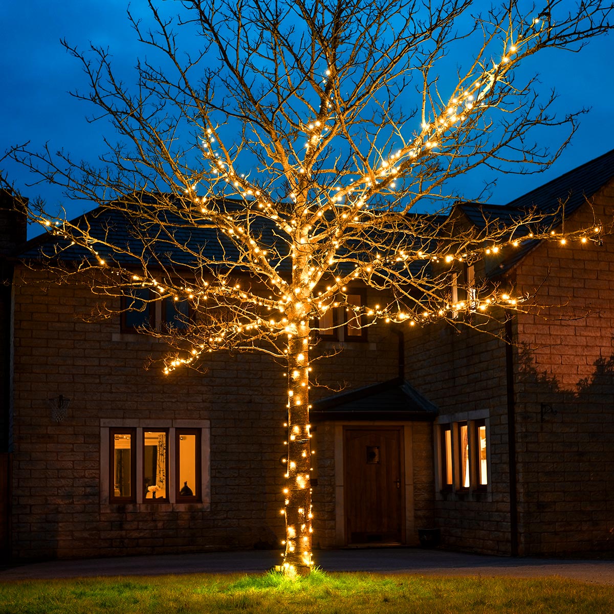 ConnectGo® Outdoor LED Fairy Lights, Connectable, Dark Green Cable