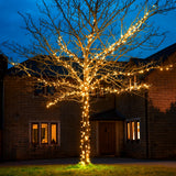ConnectGo® Outdoor LED Fairy Lights, Connectable, Dark Green Cable