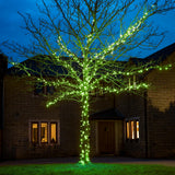 ConnectGo® Outdoor LED Fairy Lights, Connectable, Dark Green Cable