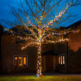 ConnectGo® Outdoor LED Fairy Lights, Connectable, Dark Green Cable