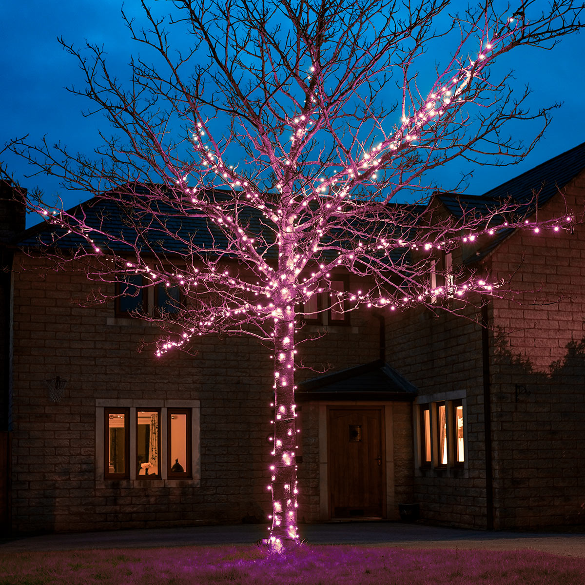 ConnectGo® Outdoor LED Fairy Lights, Connectable, Dark Green Cable