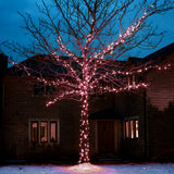 connectgo-outdoor-led-fairy-lights-connectable-dark-green-cable