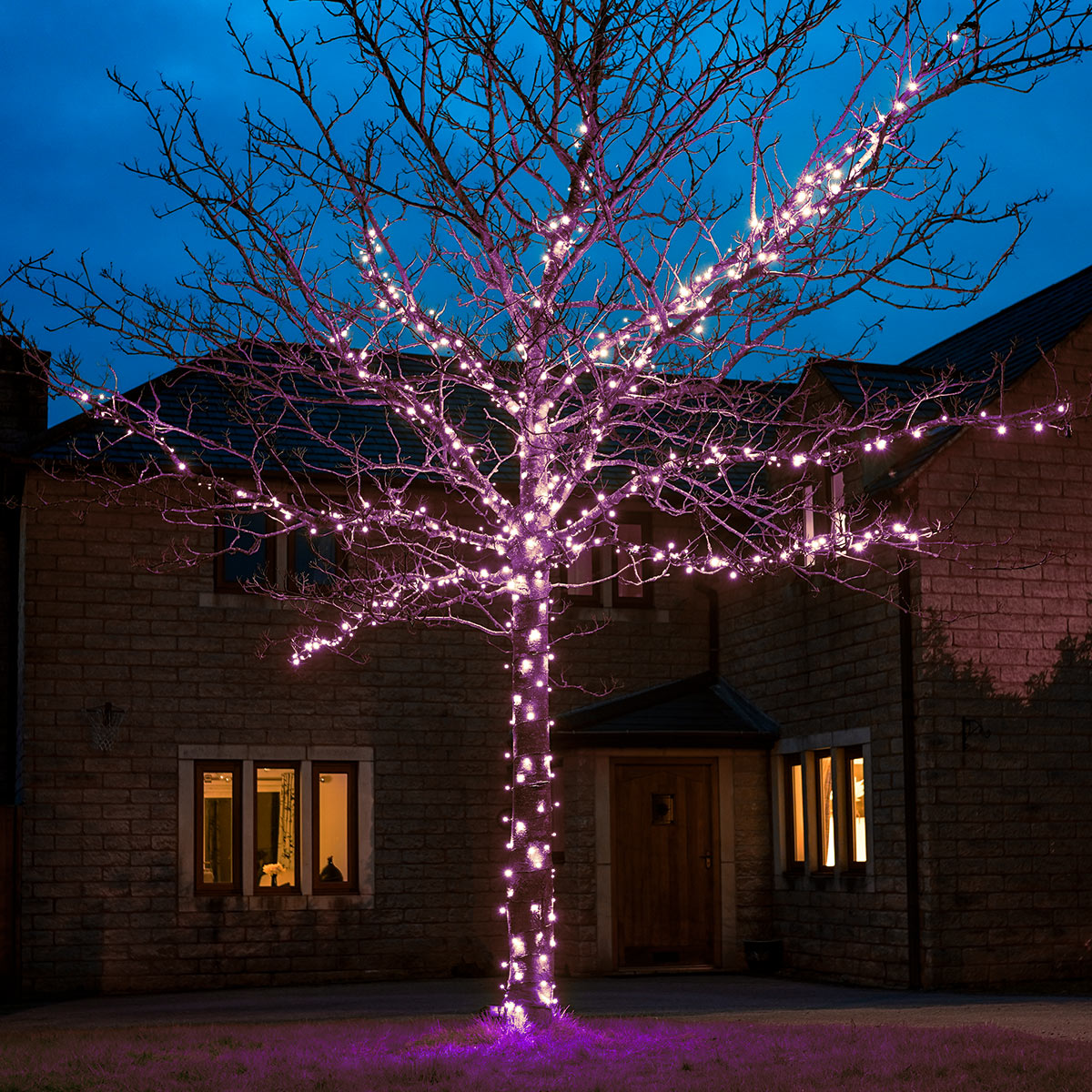 ConnectGo® Outdoor LED Fairy Lights, Connectable, Dark Green Cable