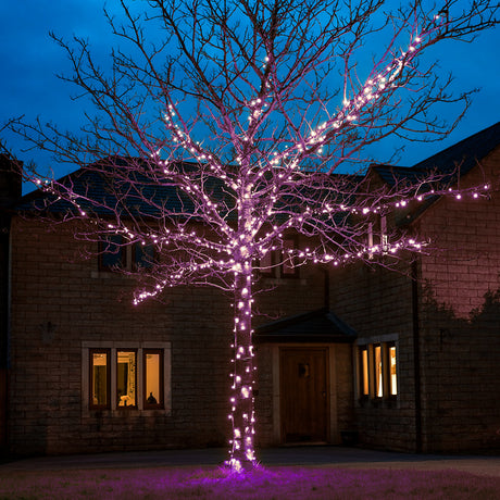 ConnectGo® Outdoor LED Fairy Lights, Connectable, Dark Green Cable