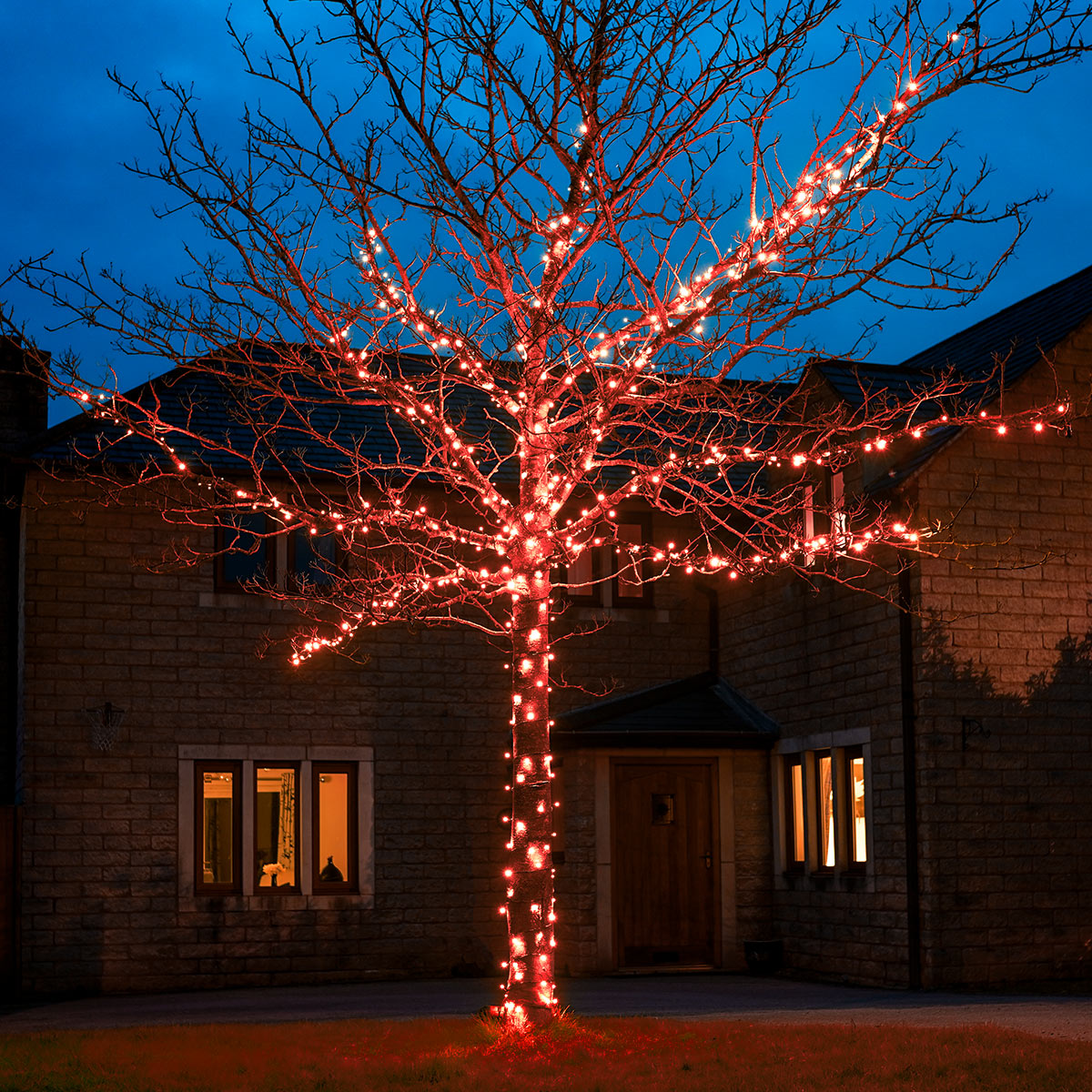 ConnectGo® Outdoor LED Fairy Lights, Connectable, Dark Green Cable