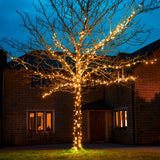 ConnectGo® Outdoor LED Fairy Lights, Connectable, Dark Green Cable