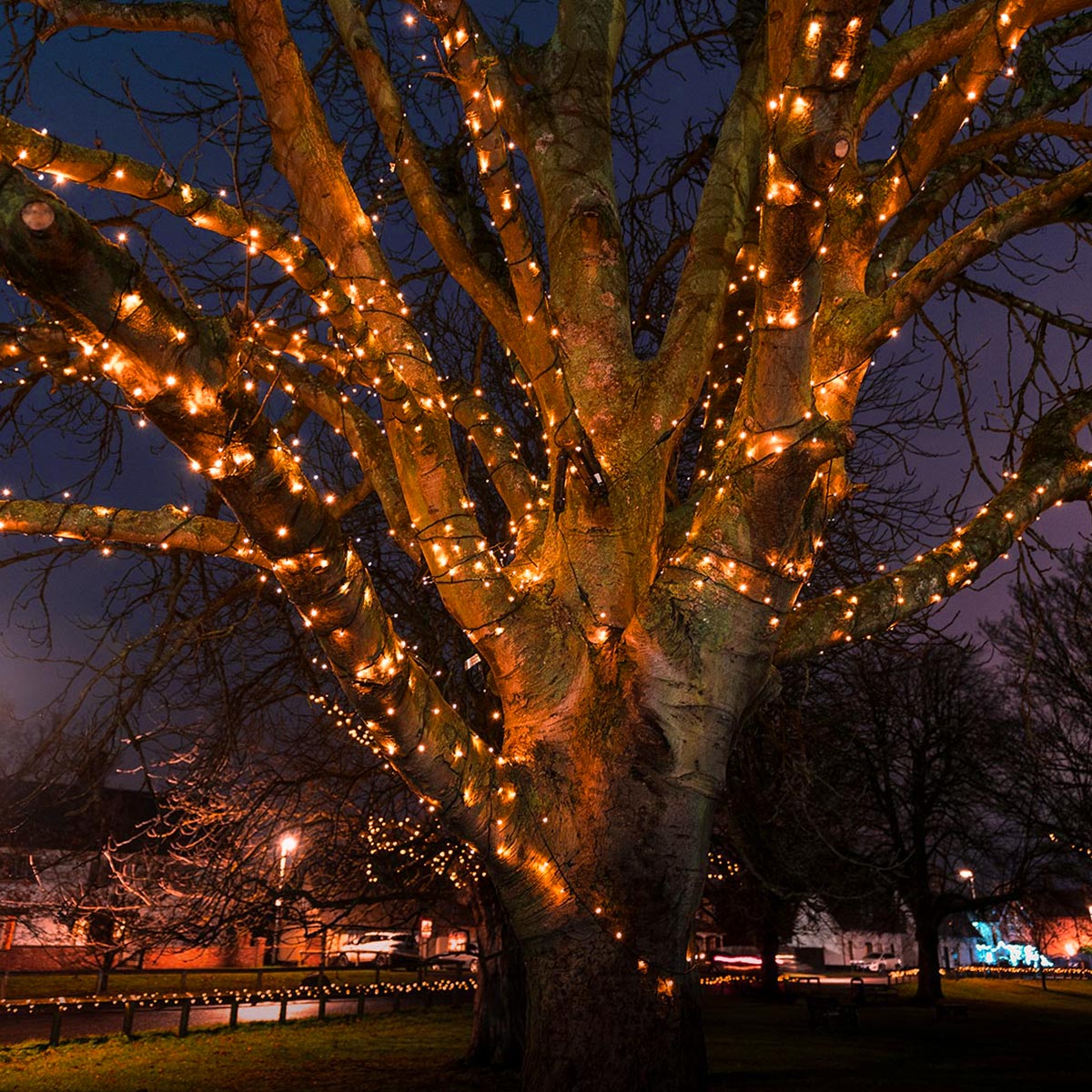 connectgo-outdoor-led-fairy-lights-connectable-dark-green-cable