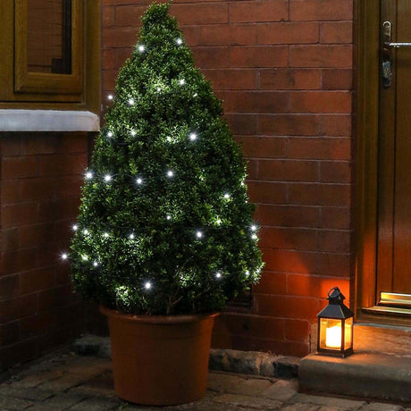 ConnectGo® Outdoor LED Fairy Lights, Connectable, Dark Green Cable