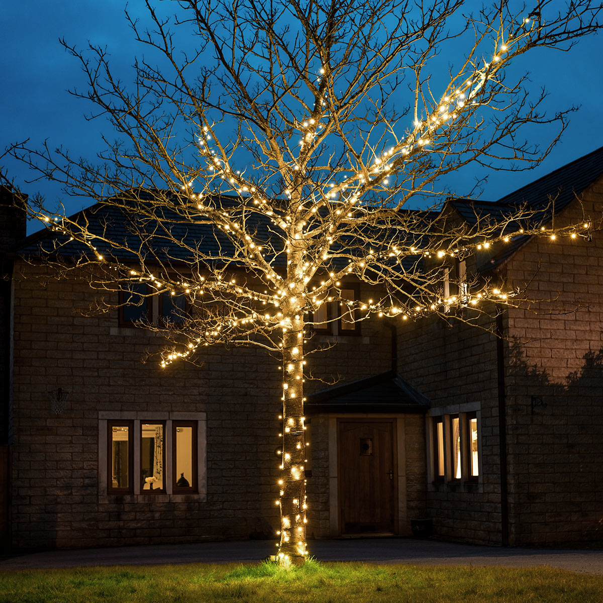ConnectGo® Outdoor LED Fairy Lights, Connectable, Dark Green Cable