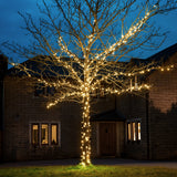 ConnectGo® Outdoor LED Fairy Lights, Connectable, Dark Green Cable
