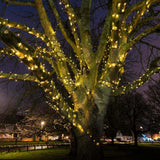 Large tree decorated with string lights against a dark sky