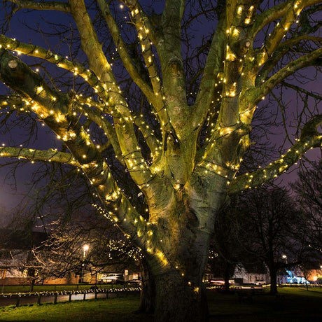 Large tree decorated with string lights against a dark sky