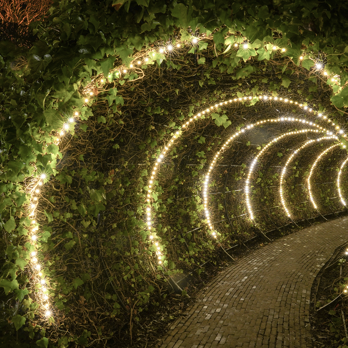 ConnectGo® Outdoor Micro Lights Connectable Warm White