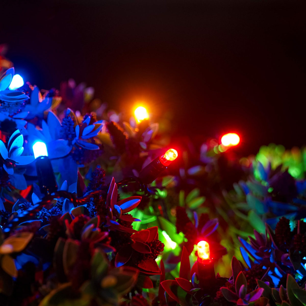 ConnectGo® Outdoor LED String Lights, Connectable, Black Rubber Cable