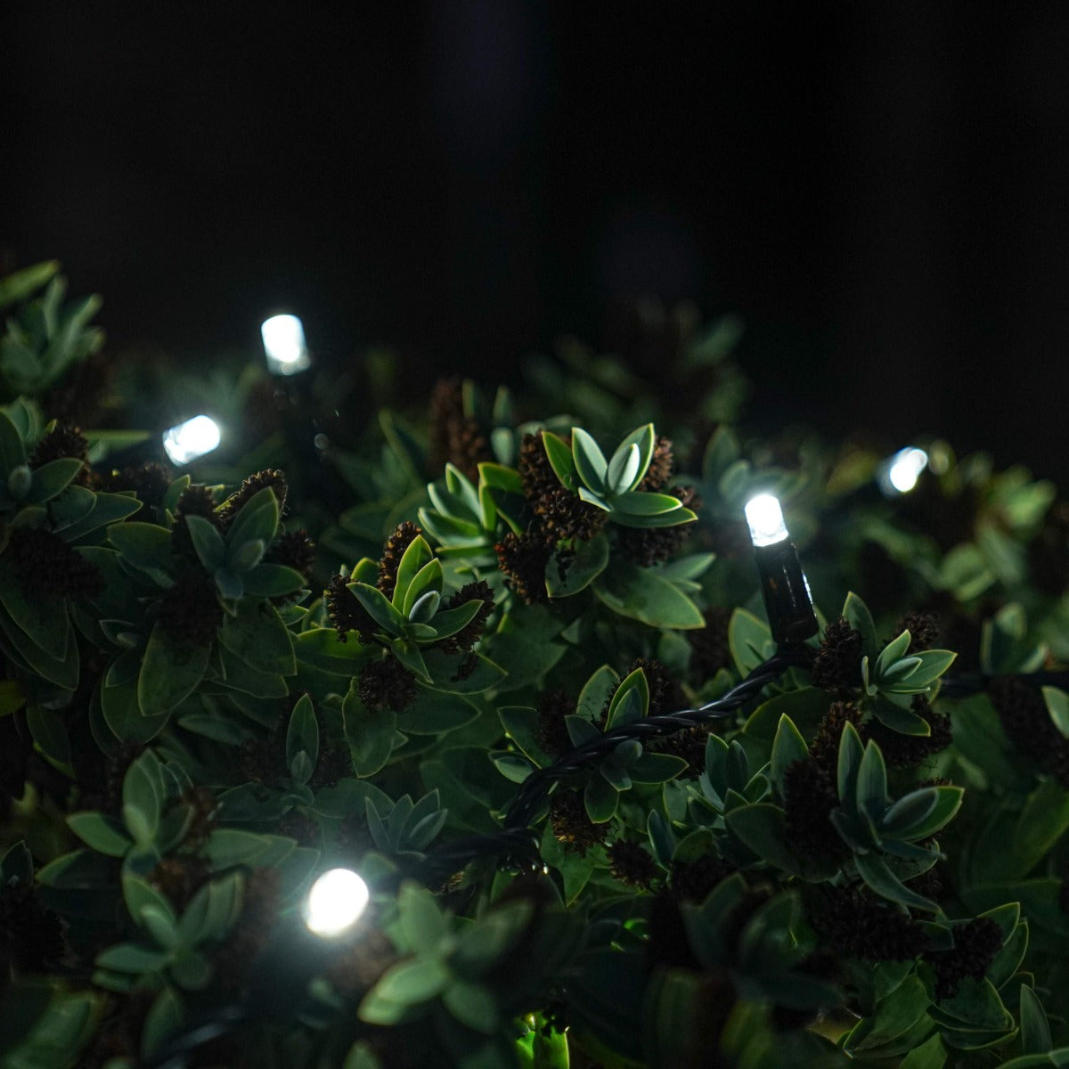 ConnectGo® Outdoor LED String Lights, Connectable, Black Rubber Cable