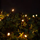 ConnectGo® Outdoor LED String Lights, Connectable, Black Rubber Cable