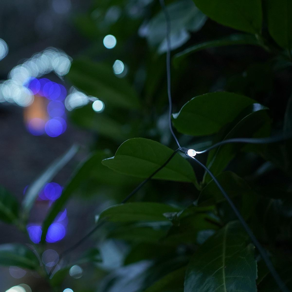 ConnectGo® 2m x 2m Connectable Net Lights, Dark Green Cable