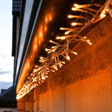 ConnectGo® Outdoor LED Cluster Lights, Connectable, Clear Cable