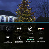 ConnectGo® Outdoor LED Berry Lights, Connectable, Dark Green Cable