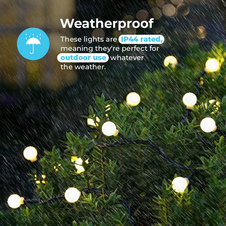 ConnectGo® Outdoor LED Berry Lights, Connectable, Dark Green Cable